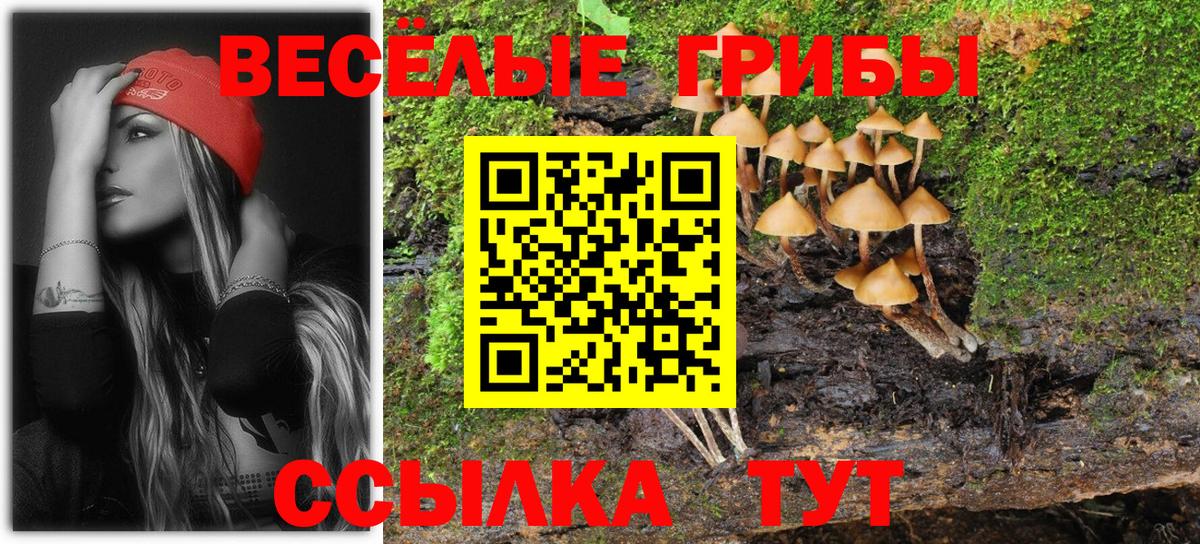 Псилоцибиновые грибы Psilocybe Королёв